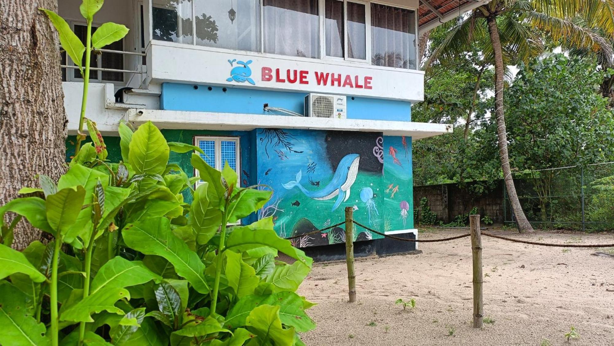Marari Blue Whale Beach House Alappuzha Exteriér fotografie