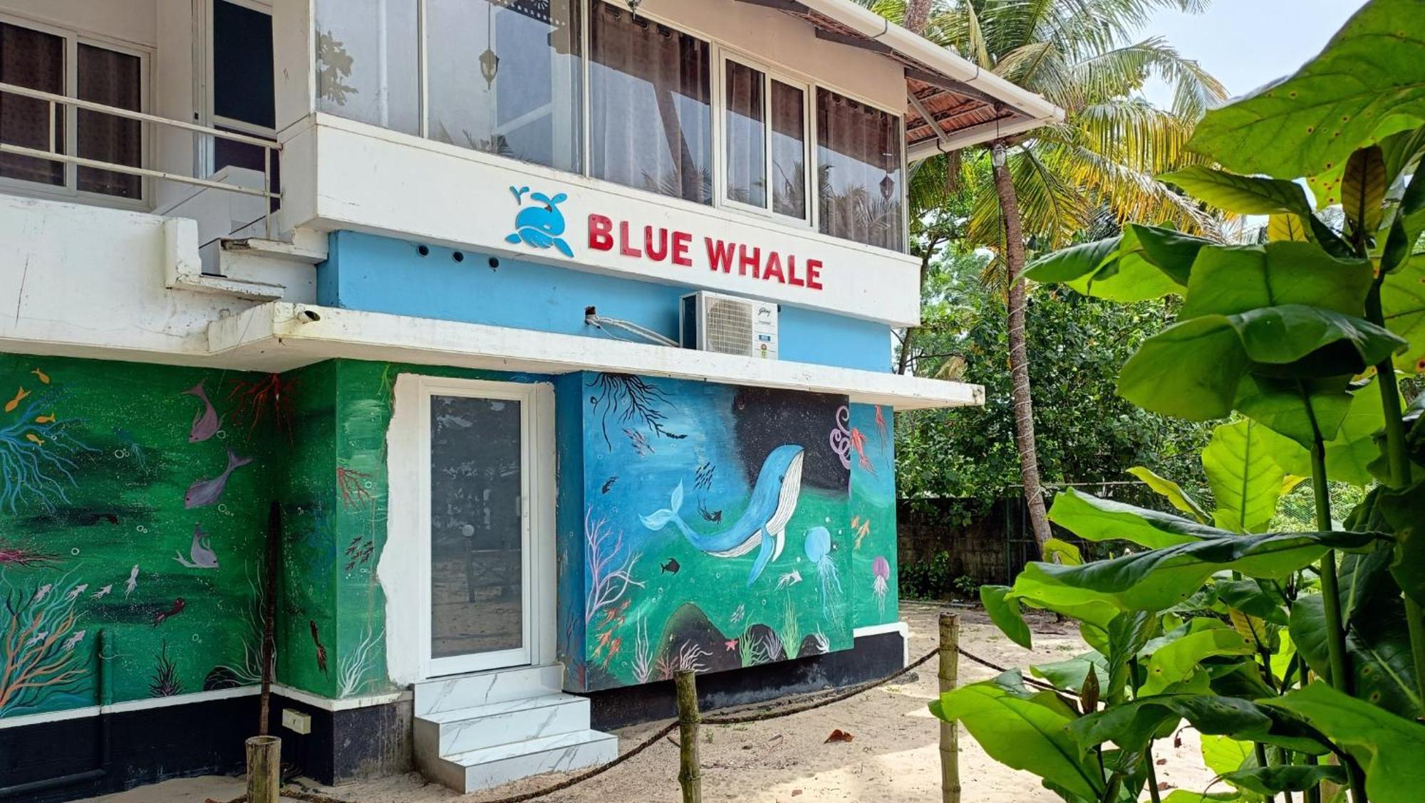 Marari Blue Whale Beach House Alappuzha Exteriér fotografie